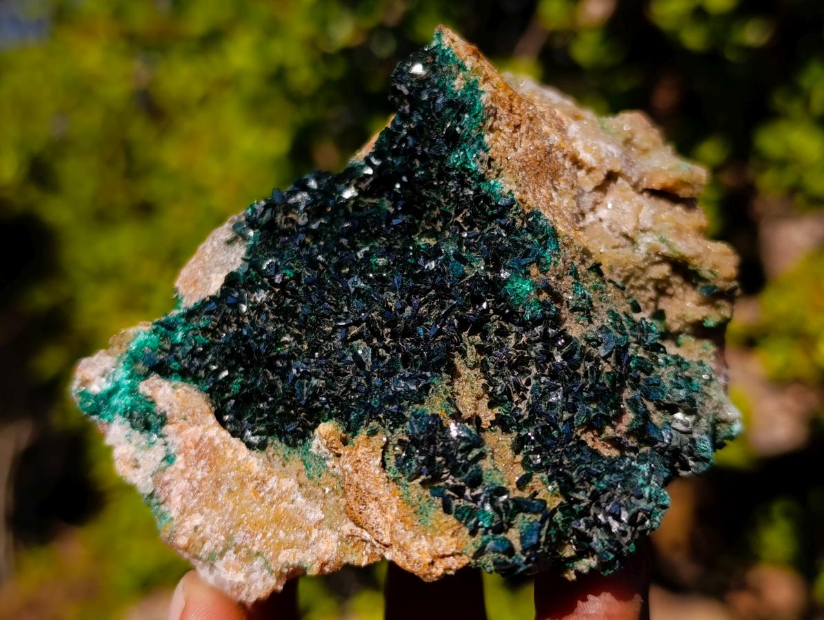 Natural Cabinet Size Rare Crystalline Malachite on Dolomite Specimen x 1 From Tenke Fungurume, Congo