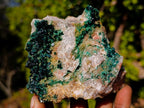 Natural Cabinet Size Rare Crystalline Malachite on Dolomite Specimen x 1 From Tenke Fungurume, Congo