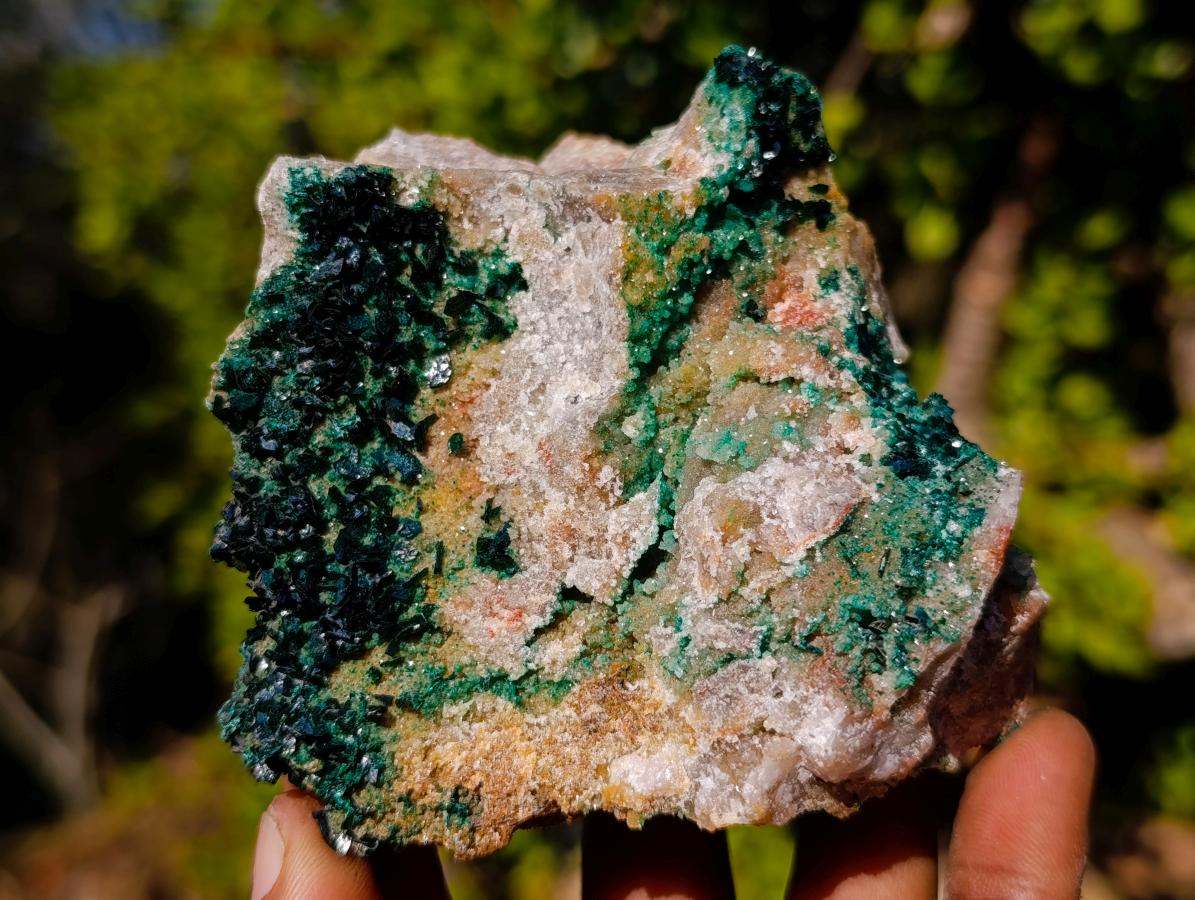 Natural Cabinet Size Rare Crystalline Malachite on Dolomite Specimen x 1 From Tenke Fungurume, Congo