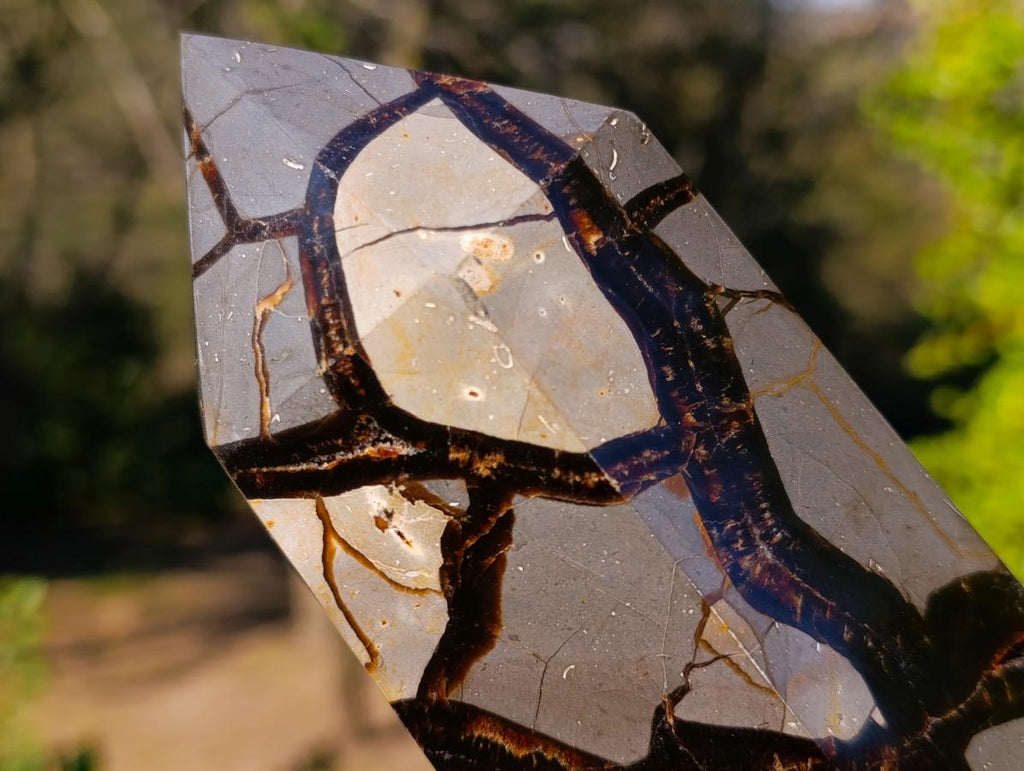 Polished and Natural Large Septerye Sauvage Display Crystal x 1 From Mahajanga, Madagascar