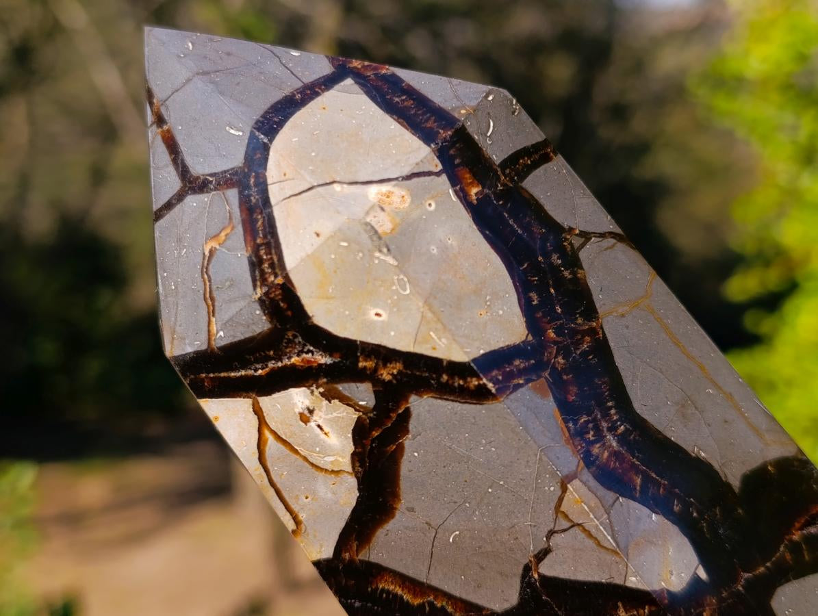Polished and Natural Large Septerye Sauvage Display Crystal x 1 From Mahajanga, Madagascar