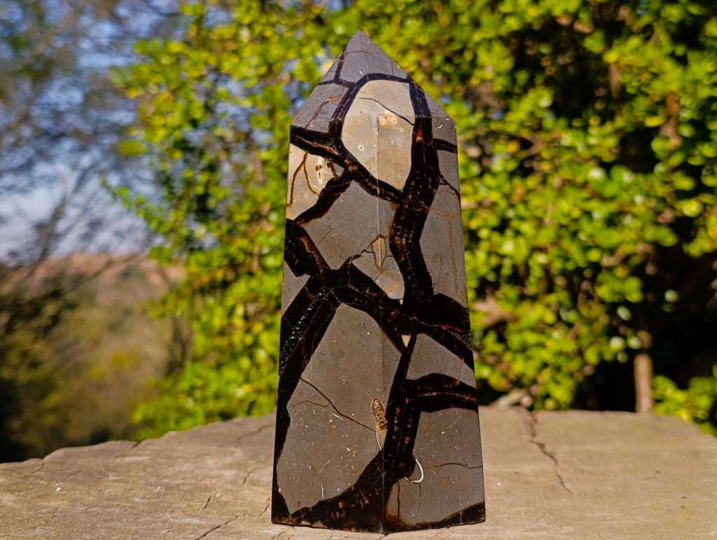 Polished and Natural Large Septerye Sauvage Display Crystal x 1 From Mahajanga, Madagascar