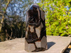 Polished and Natural Large Septerye Sauvage Display Crystal x 1 From Mahajanga, Madagascar