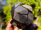 Polished and Natural Large Septerye Sauvage Display Crystal x 1 From Mahajanga, Madagascar