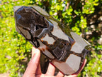 Polished and Natural Large Septerye Sauvage Display Crystal x 1 From Mahajanga, Madagascar