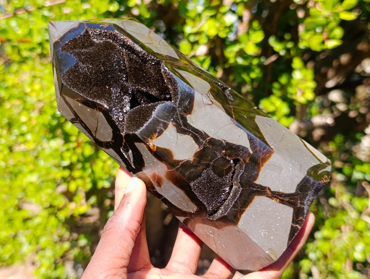 Polished and Natural Large Septerye Sauvage Display Crystal x 1 From Mahajanga, Madagascar