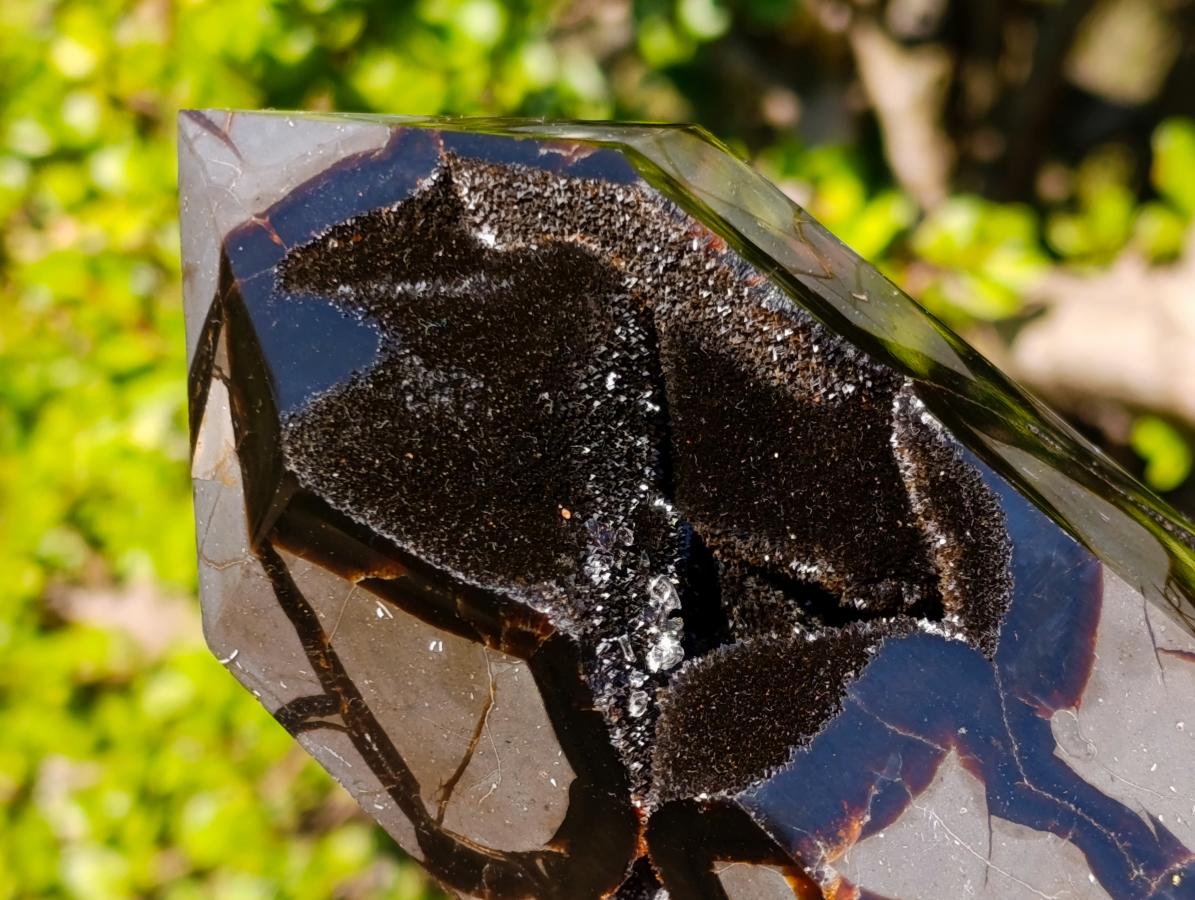 Polished and Natural Large Septerye Sauvage Display Crystal x 1 From Mahajanga, Madagascar