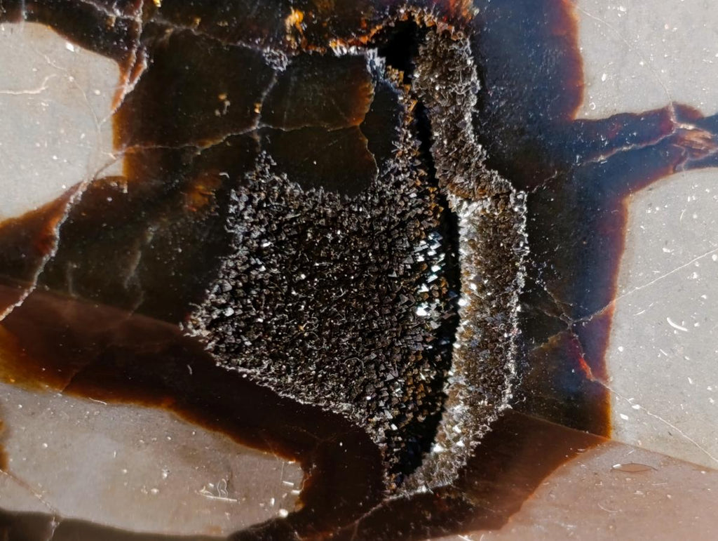 Polished and Natural Large Septerye Sauvage Display Crystal x 1 From Mahajanga, Madagascar