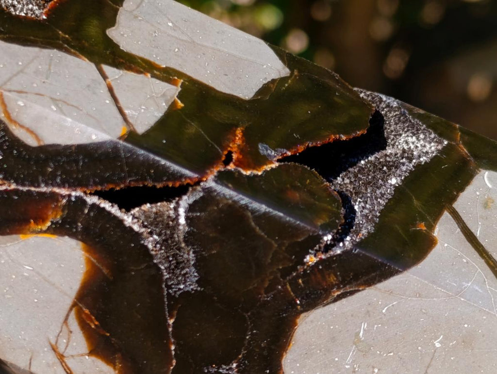 Polished and Natural Large Septerye Sauvage Display Crystal x 1 From Mahajanga, Madagascar