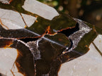 Polished and Natural Large Septerye Sauvage Display Crystal x 1 From Mahajanga, Madagascar