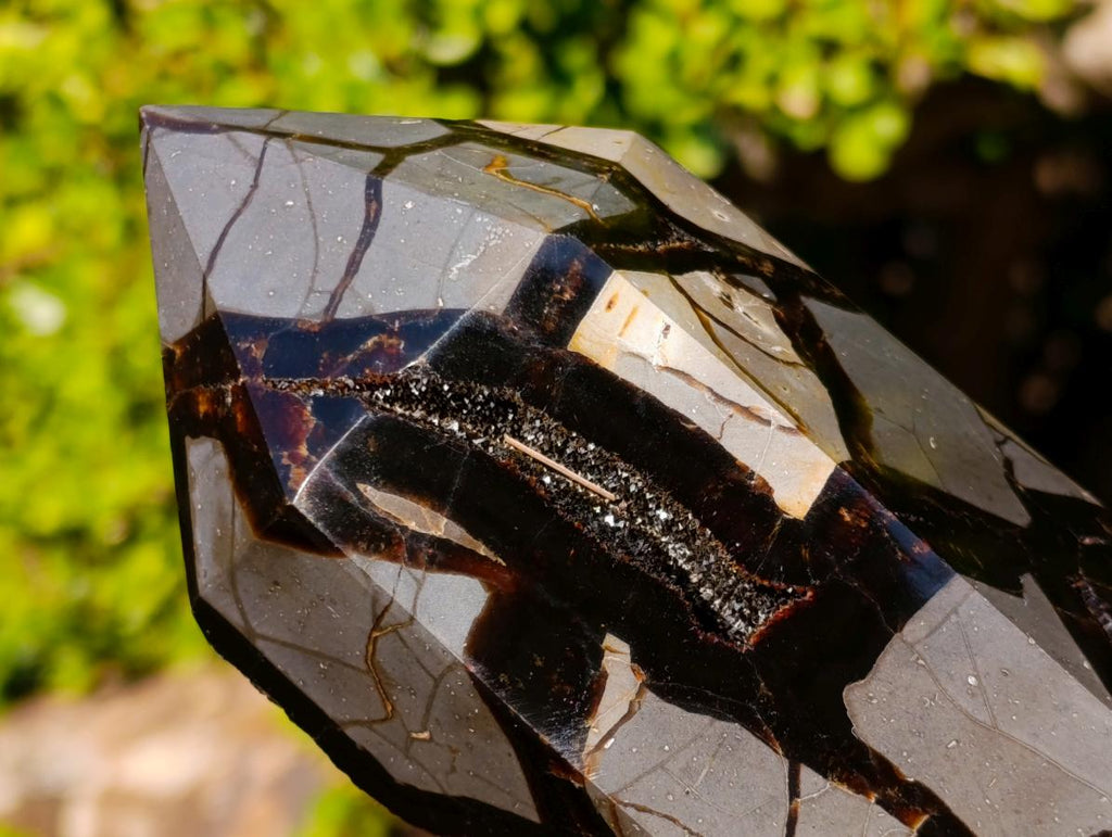 Polished and Natural Large Septerye Sauvage Display Crystal x 1 From Mahajanga, Madagascar