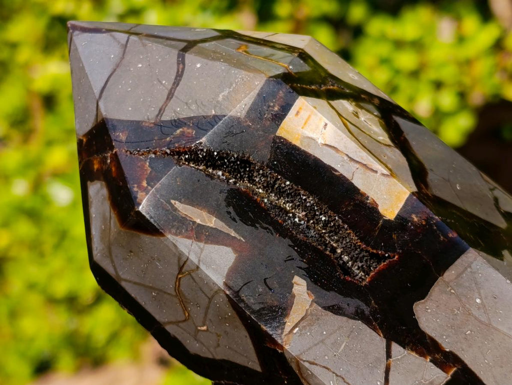 Polished and Natural Large Septerye Sauvage Display Crystal x 1 From Mahajanga, Madagascar