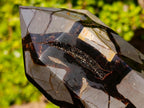 Polished and Natural Large Septerye Sauvage Display Crystal x 1 From Mahajanga, Madagascar