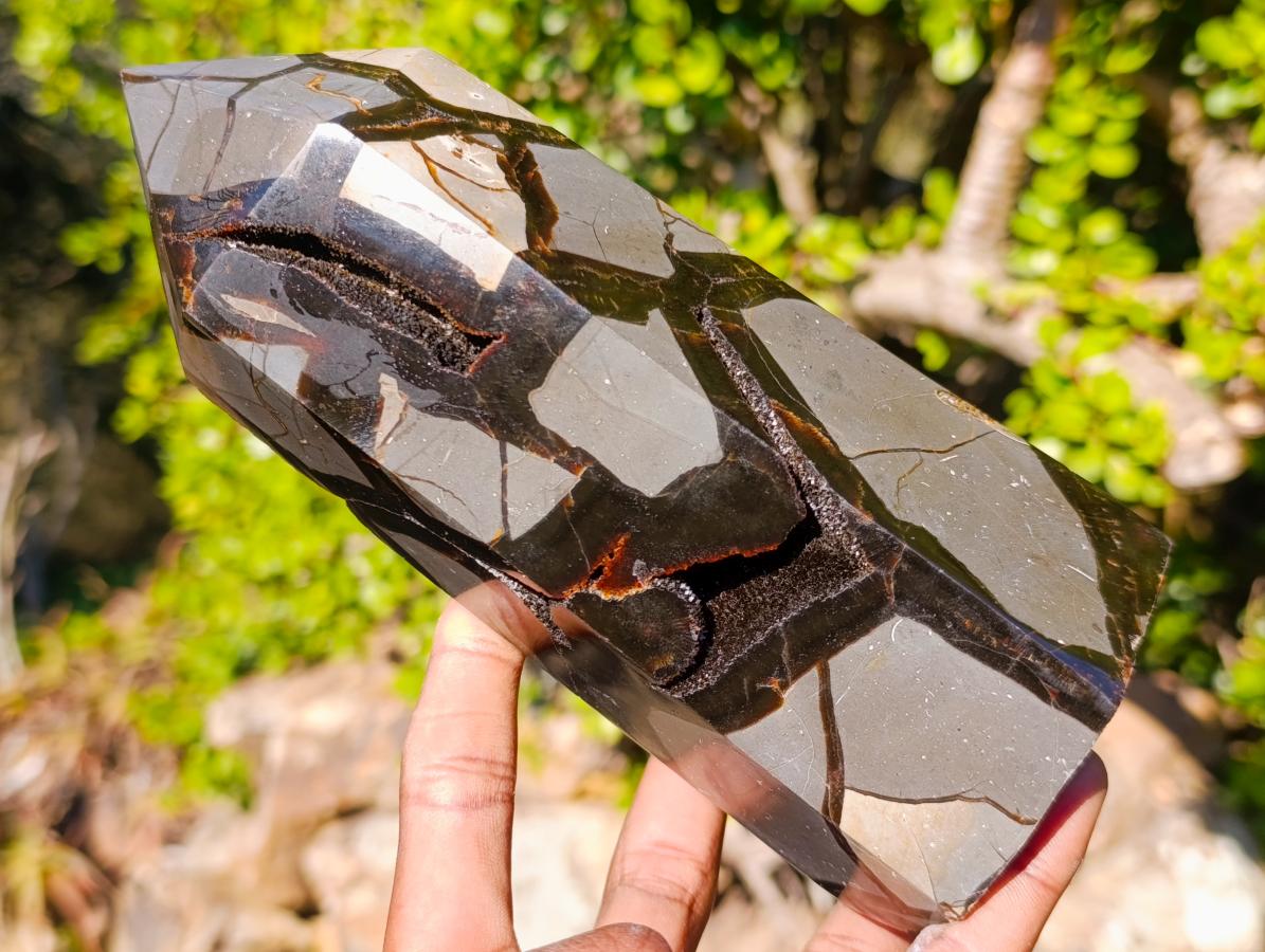 Polished and Natural Large Septerye Sauvage Display Crystal x 1 From Mahajanga, Madagascar