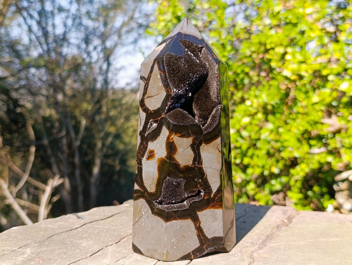 Polished and Natural Large Septerye Sauvage Display Crystal x 1 From Mahajanga, Madagascar