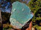 Natural Double Sided Drusy Chrysocolla and Cobaltian Dolomite Specimen x 1 From Likasi, Congo