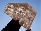 Polished Angolan Smokey Quartz Standing Free Form with Inclusions x 1 From Angola