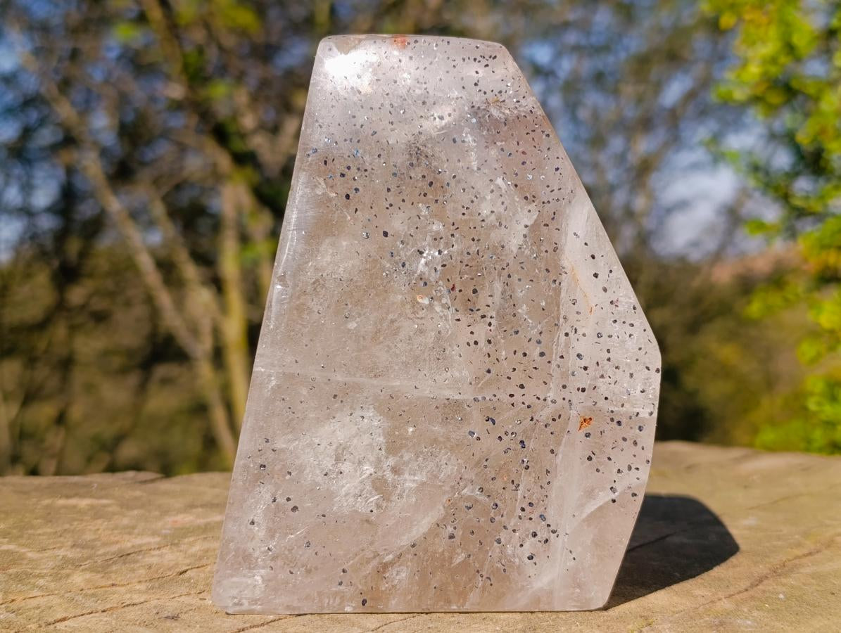 Polished Angolan Smokey Quartz Standing Free Form with Inclusions x 1 From Angola