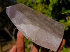 Polished Angolan Smokey Quartz Standing Free Form with Inclusions x 1 From Angola
