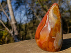 Polished Polychrome Jasper Standing Display Piece x 1 From NW Coast, Madagascar
