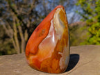 Polished Polychrome Jasper Standing Display Piece x 1 From NW Coast, Madagascar