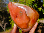 Polished Polychrome Jasper Standing Display Piece x 1 From NW Coast, Madagascar