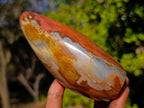 Polished Polychrome Jasper Standing Display Piece x 1 From NW Coast, Madagascar
