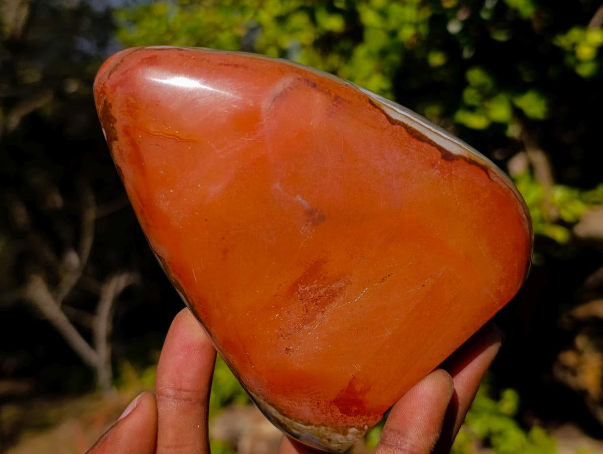 Polished Polychrome Jasper Standing Display Piece x 1 From NW Coast, Madagascar