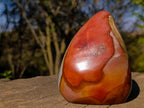 Polished Polychrome Jasper Standing Display Piece x 1 From NW Coast, Madagascar