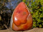 Polished Polychrome Jasper Standing Display Piece x 1 From NW Coast, Madagascar
