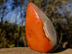 Polished Polychrome Jasper Standing Display Piece x 1 From NW Coast, Madagascar