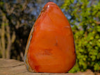 Polished Polychrome Jasper Standing Display Piece x 1 From NW Coast, Madagascar