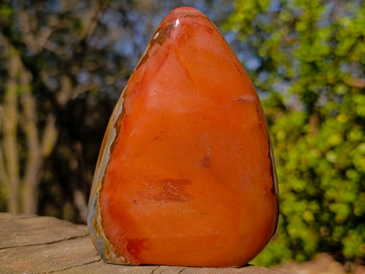 Polished Polychrome Jasper Standing Display Piece x 1 From NW Coast, Madagascar