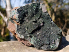 Natural Cabinet Size Libethenite on Dolomite Matrix Specimen x 1 From Kolwezi, Congo