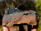 Natural Cabinet Size Libethenite on Dolomite Matrix Specimen x 1 From Kolwezi, Congo