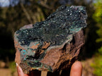 Natural Cabinet Size Libethenite on Dolomite Matrix Specimen x 1 From Kolwezi, Congo