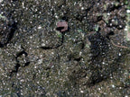 Natural Cabinet Size Libethenite on Dolomite Matrix Specimen x 1 From Kolwezi, Congo