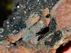 Natural Cabinet Size Libethenite on Dolomite Matrix Specimen x 1 From Kolwezi, Congo
