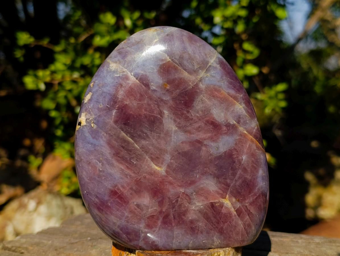 Polished Gemmy Purple "Sugi" Rose Quartz Standing Display Piece x 1 From Ambatondrazaka, Madagascar