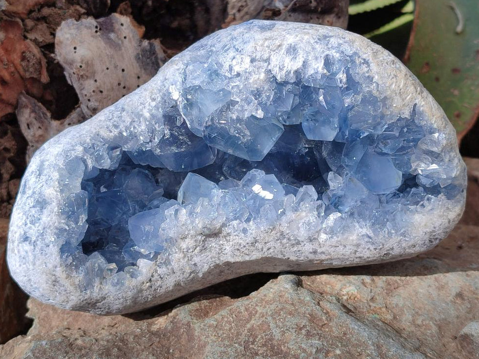 Polished and Natural Blue Celestite Geode Specimen x 1 From Sakoany Madagascar