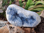 Polished and Natural Blue Celestite Geode Specimen x 1 From Sakoany Madagascar