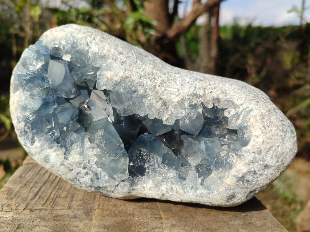 Polished and Natural Blue Celestite Geode Specimen x 1 From Sakoany Madagascar
