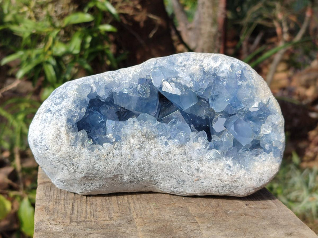 Polished and Natural Blue Celestite Geode Specimen x 1 From Sakoany Madagascar