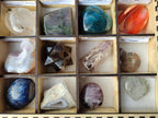 Polished Mixed Set of 12 African Gemstones, Crystals and Fossil in Wooden Display Box x 1 From Southern Africa