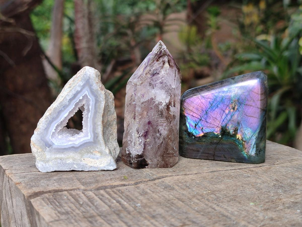 Polished Mixed Set of 12 African Gemstones, Crystals and Fossil in Wooden Display Box x 1 From Southern Africa