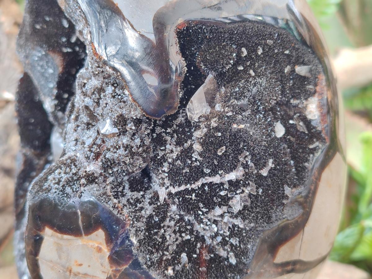 Polished and Natural XL Septerye Sauvage "Dragons Egg" x 1 From Mahajanga, Madagascar