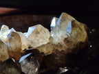 Natural XL Cascading Luena Smokey Citrine White Phantom Quartz Cluster x 1 From Luena, Congo