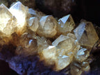 Natural XL Cascading Luena Smokey Citrine White Phantom Quartz Cluster x 1 From Luena, Congo
