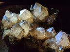 Natural XL Cascading Luena Smokey Citrine White Phantom Quartz Cluster x 1 From Luena, Congo