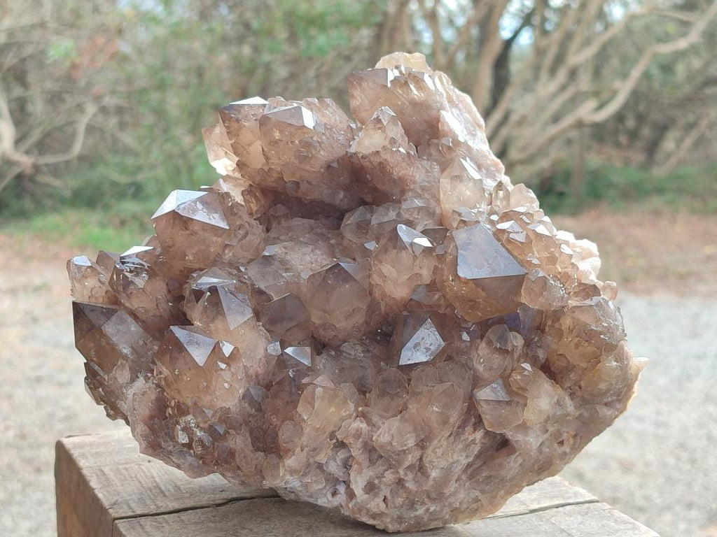 Natural XL Cascading Luena Smokey Citrine White Phantom Quartz Cluster x 1 From Luena, Congo